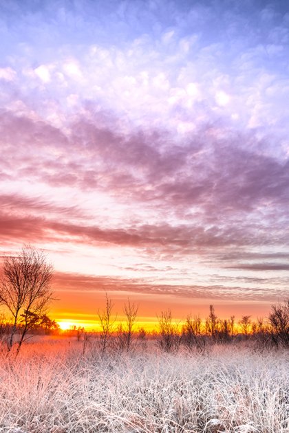 Sunrise in winter at National park Groote Peel between the provinces of Limburg and North Brabant