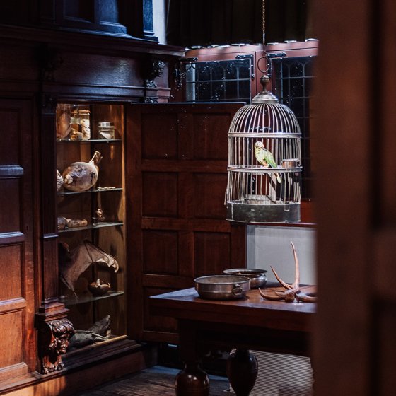 Westfries Museum Hoorn science