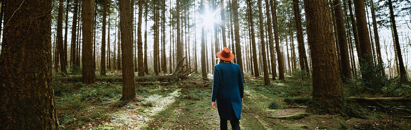 Woman walks through the Bergherbos forest in the Achterhoek region