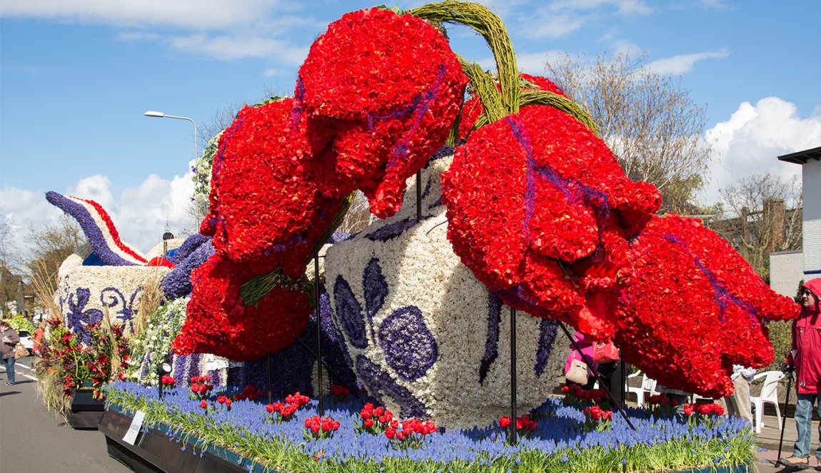 Flower parade, red tulip and Delft Blue