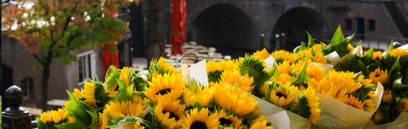Har råd til berolige cabriolet The best flower markets in Holland - Holland.com