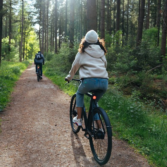 Couple on bikes in the forest