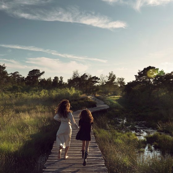 National Park De Groote Peel, wetlands in northern Limburg 
