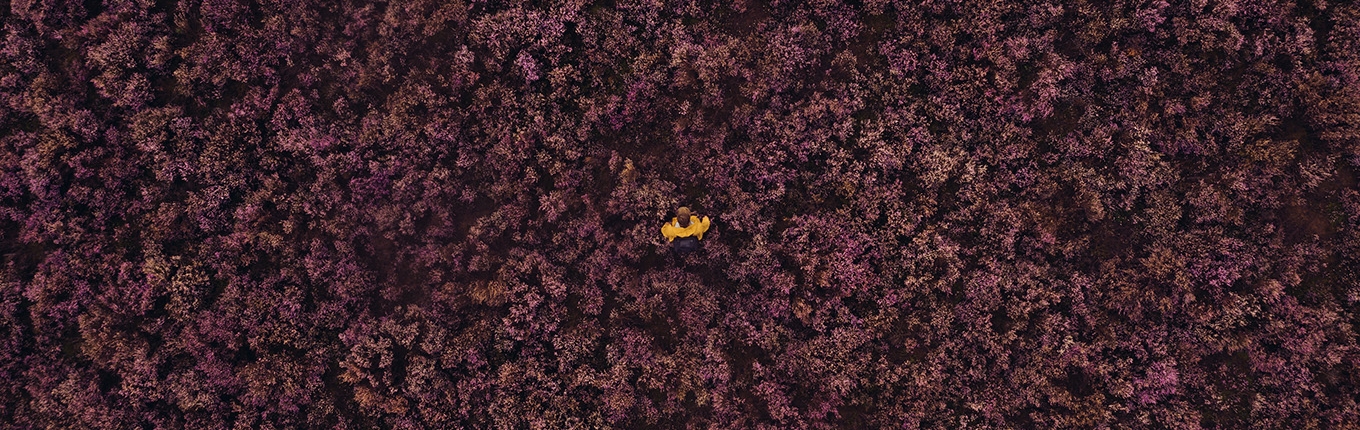 Drone photo moors in Drenthe with person in yellow jacket