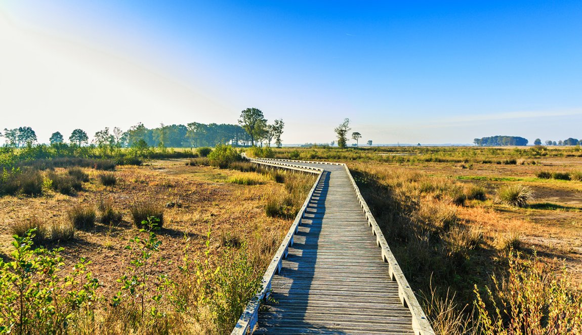 National Park Dwingelderveld, Dutch province of Drenthe is a nature reserve with wooden walkways