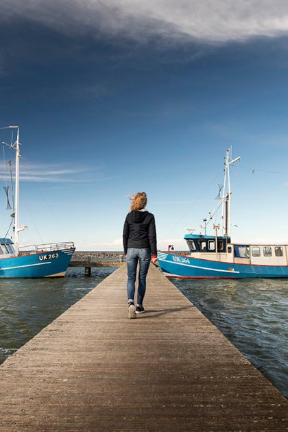 Oostvaardersdijk, Markermeer