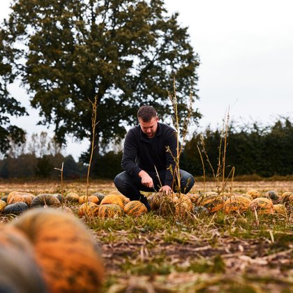 Man in the field with pumpkins Gelderland