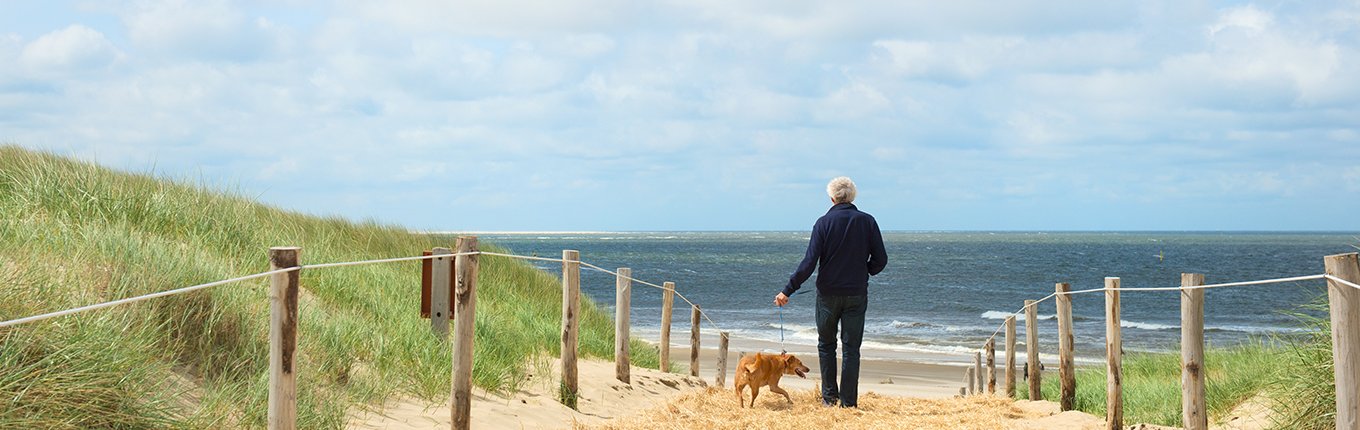 Texel man and dog