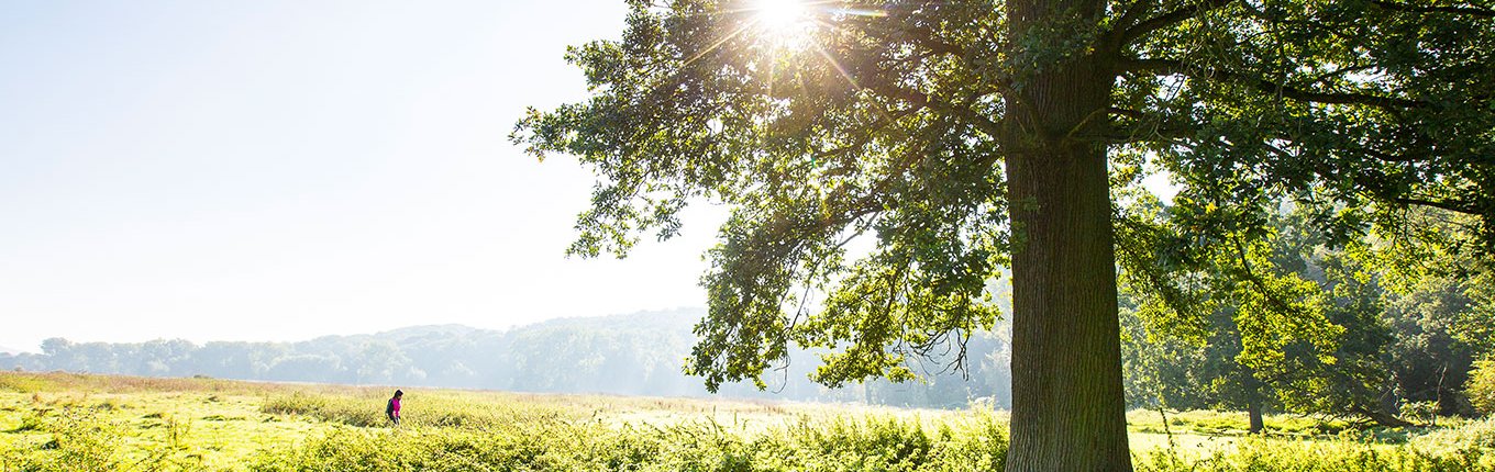 View all nature in the The Netherlands has no fewer than 40 nature areas. - Holland.com