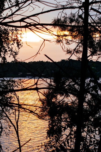 The woods of Limburg