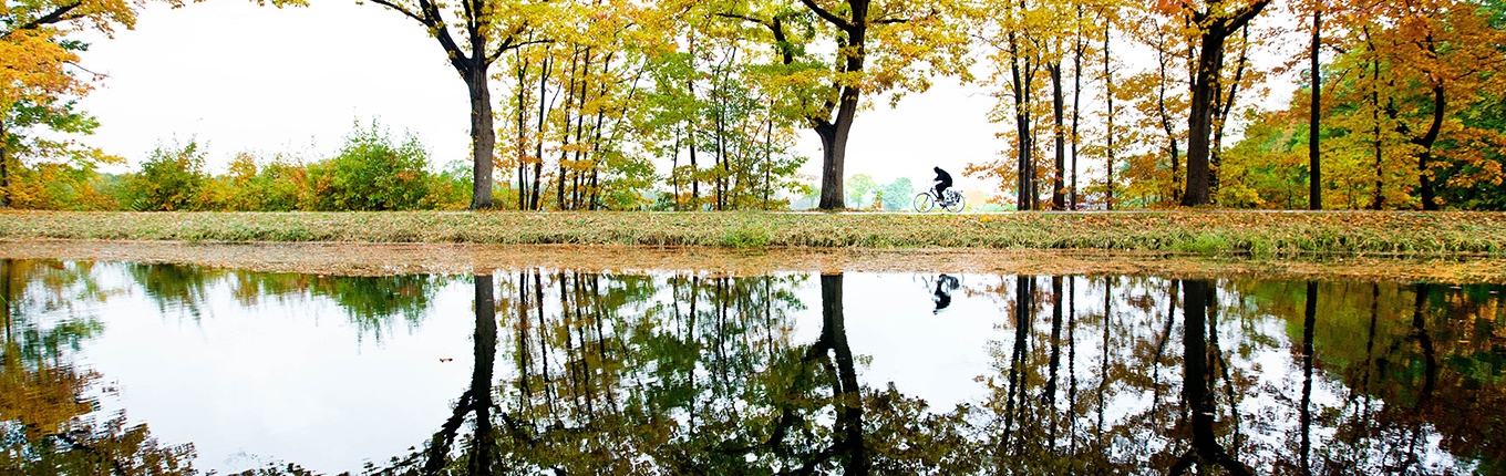 Cyclist through the forest in autumn colors with reflection in the water