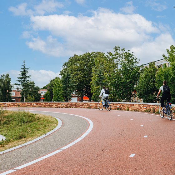 Utrecht Dafne Schippersbrug