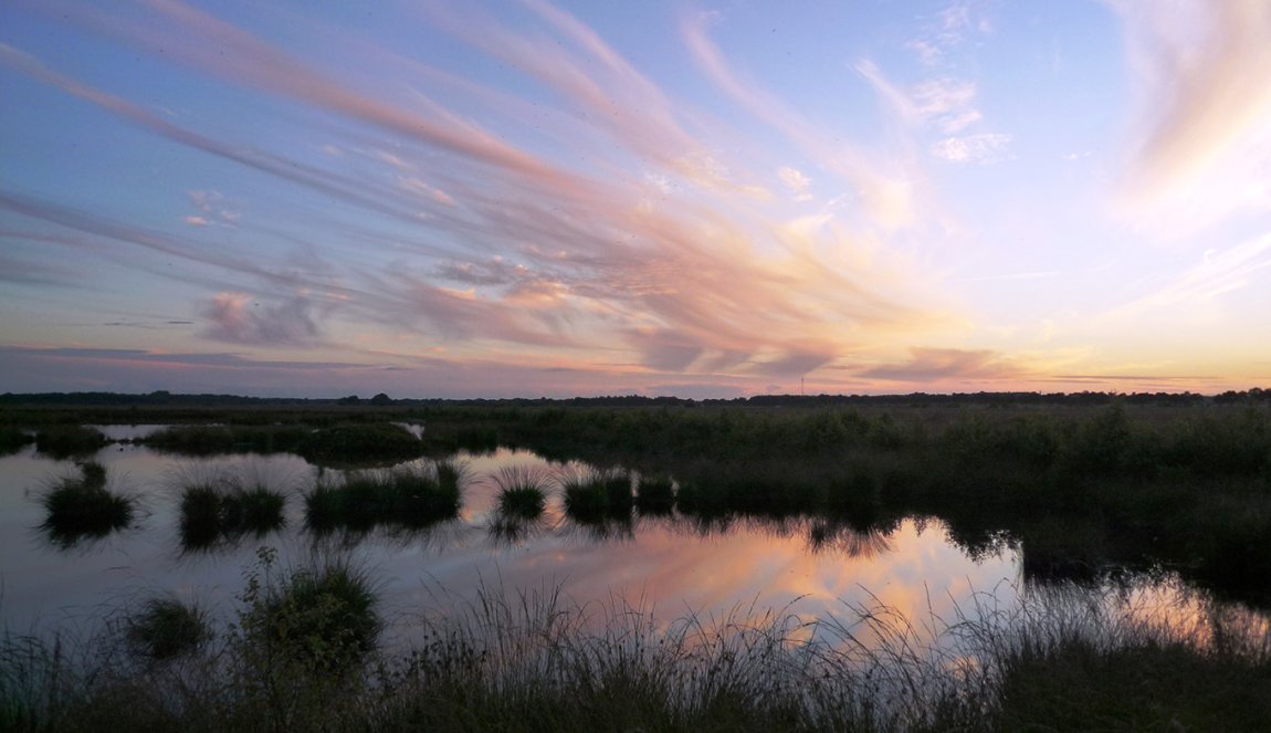 Nature reserv Fochteloërveen Drenthe spectacular skies