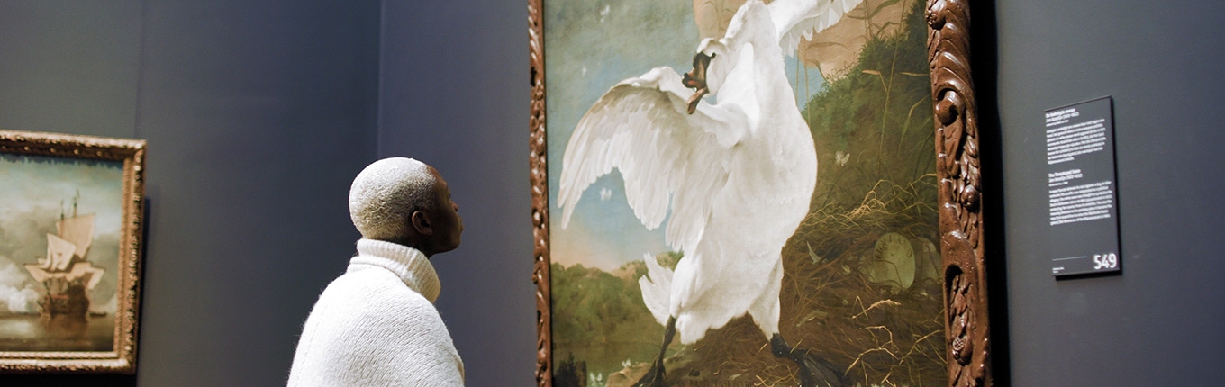 Woman views painting The endangered swan at Rijksmuseum. Painted by Dutch artist Jan Asselijn ca. 1650