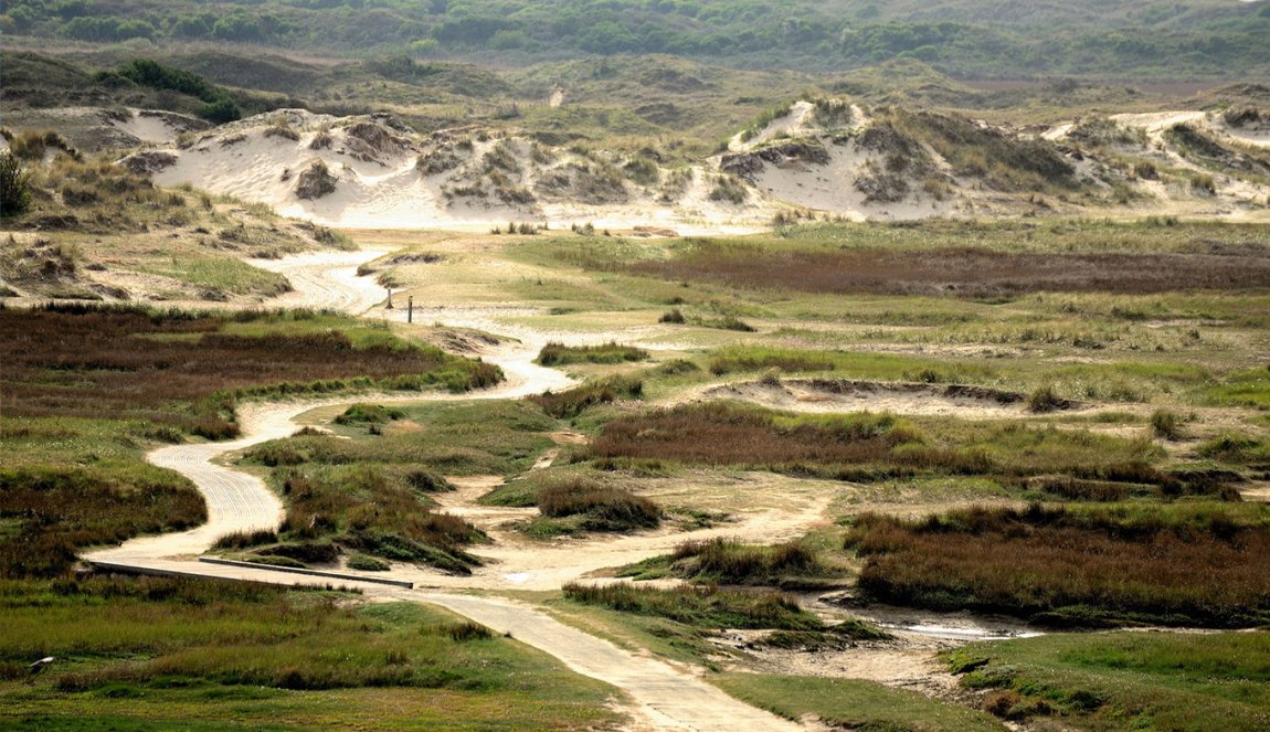 Slufter in Texel
