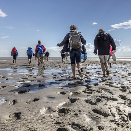 Group of mudflat walkers on the tidal flats