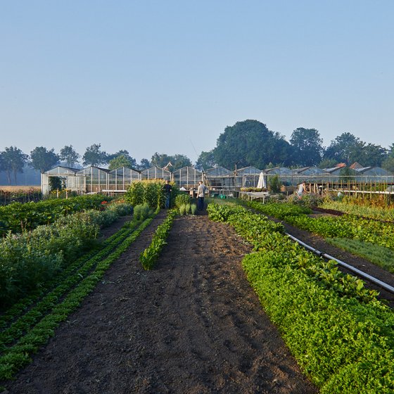 Greenhouse Beemster Restaurant De Kas