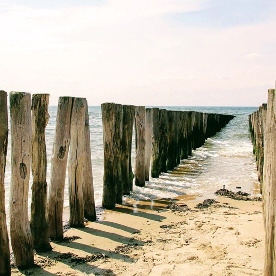 (paalhoofden) Beach poles in Zeeland