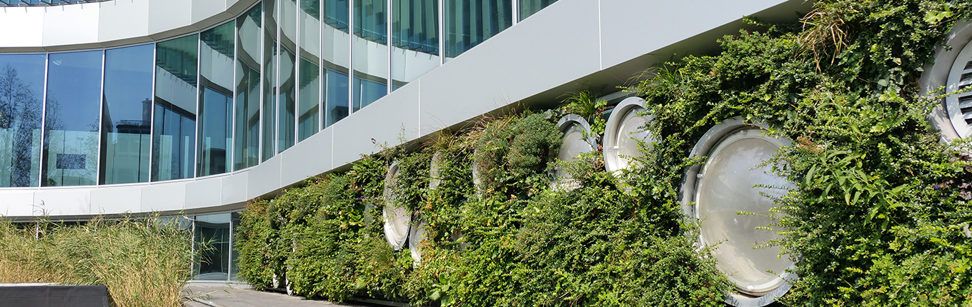 Facade with plants in Venlo Facade with plants in Venlo