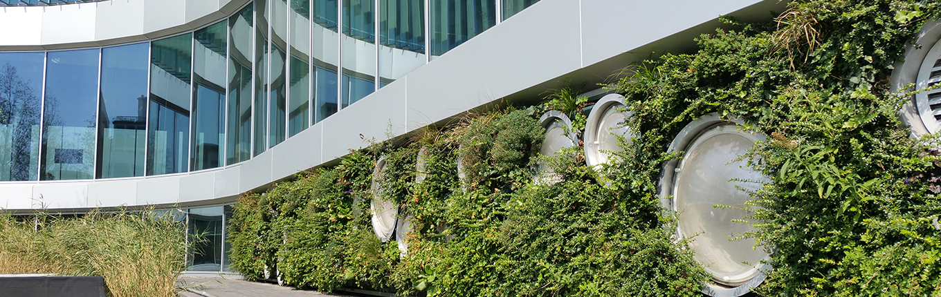 Facade with plants in Venlo