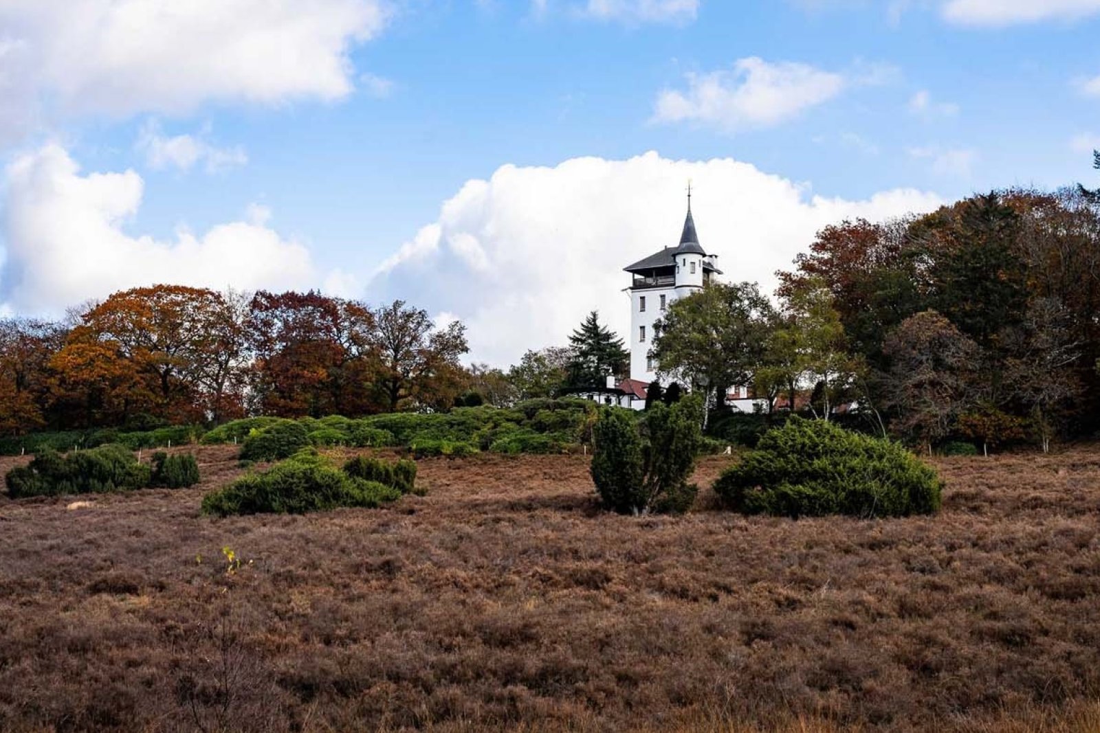 Yannick Castle NP Sallandse Heuvelrug