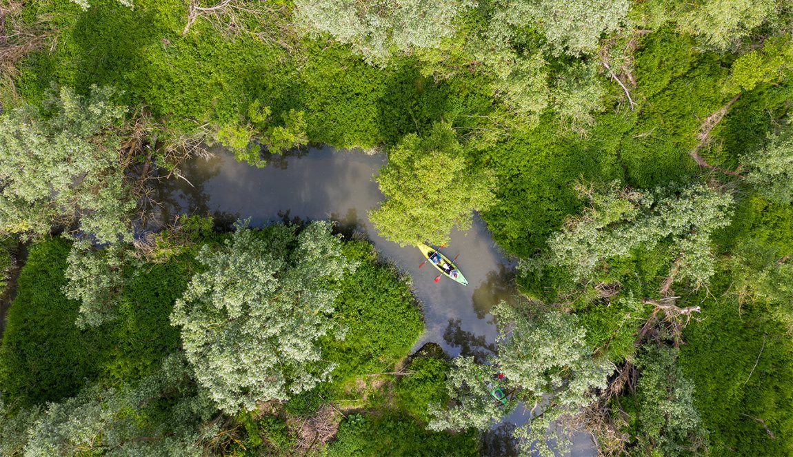 Drone shot with trees and canoo at the Biesbosch national park