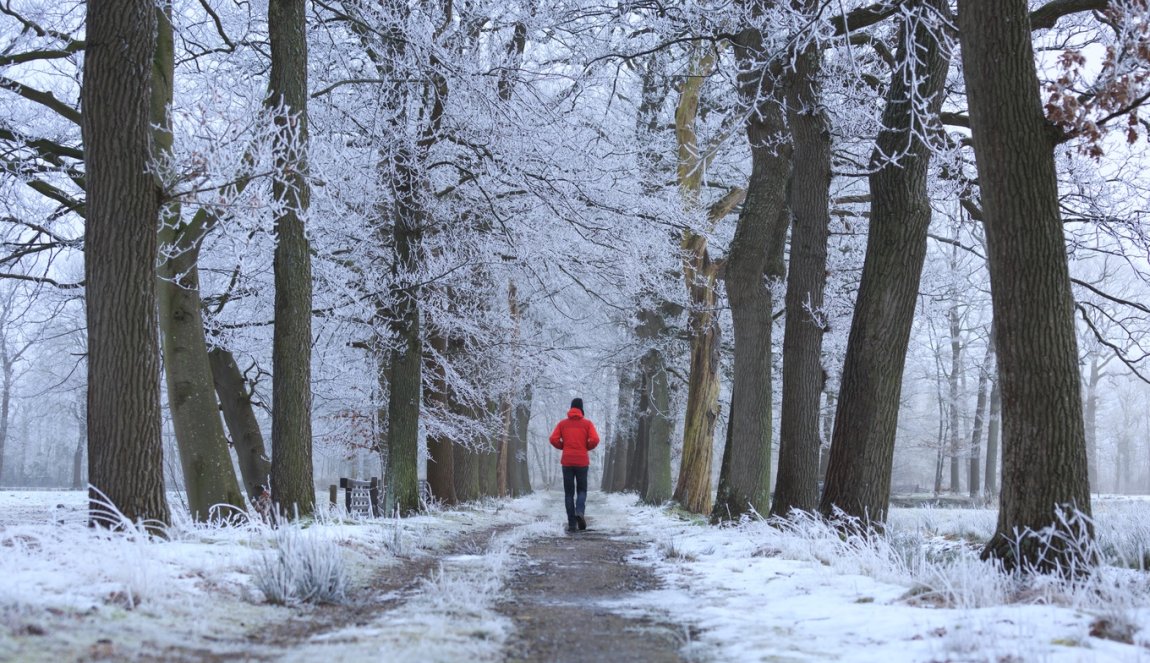 Man takes winter walk in forest with snow