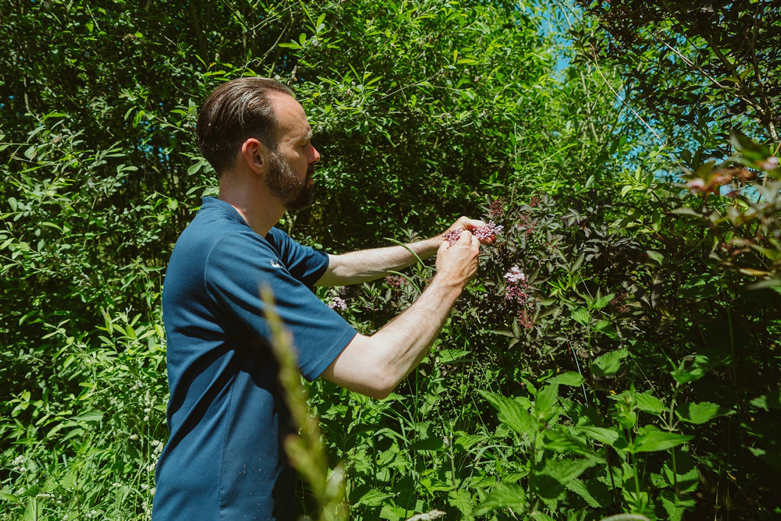 Emile van der Staak De Nieuwe Winkel in his food forest