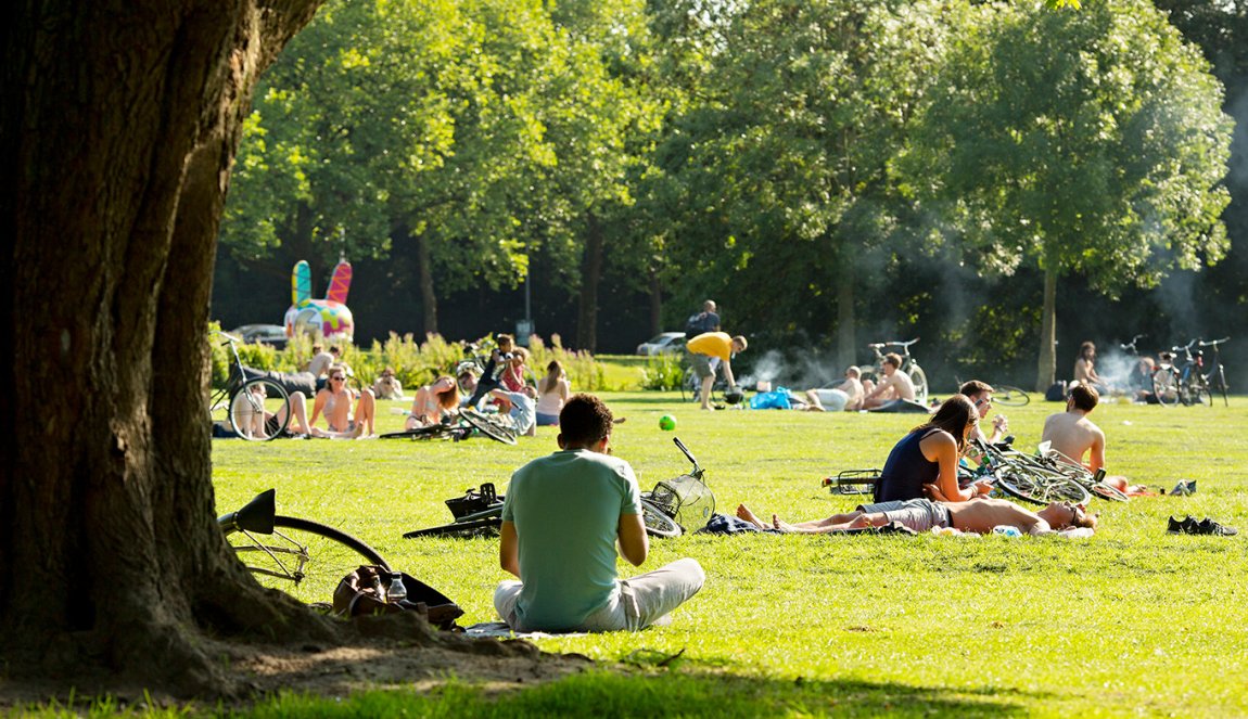 Rotterdam Vroesenpark people picnicking 
