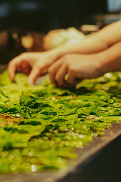 In the kitchen of The New Shop with green leaves
