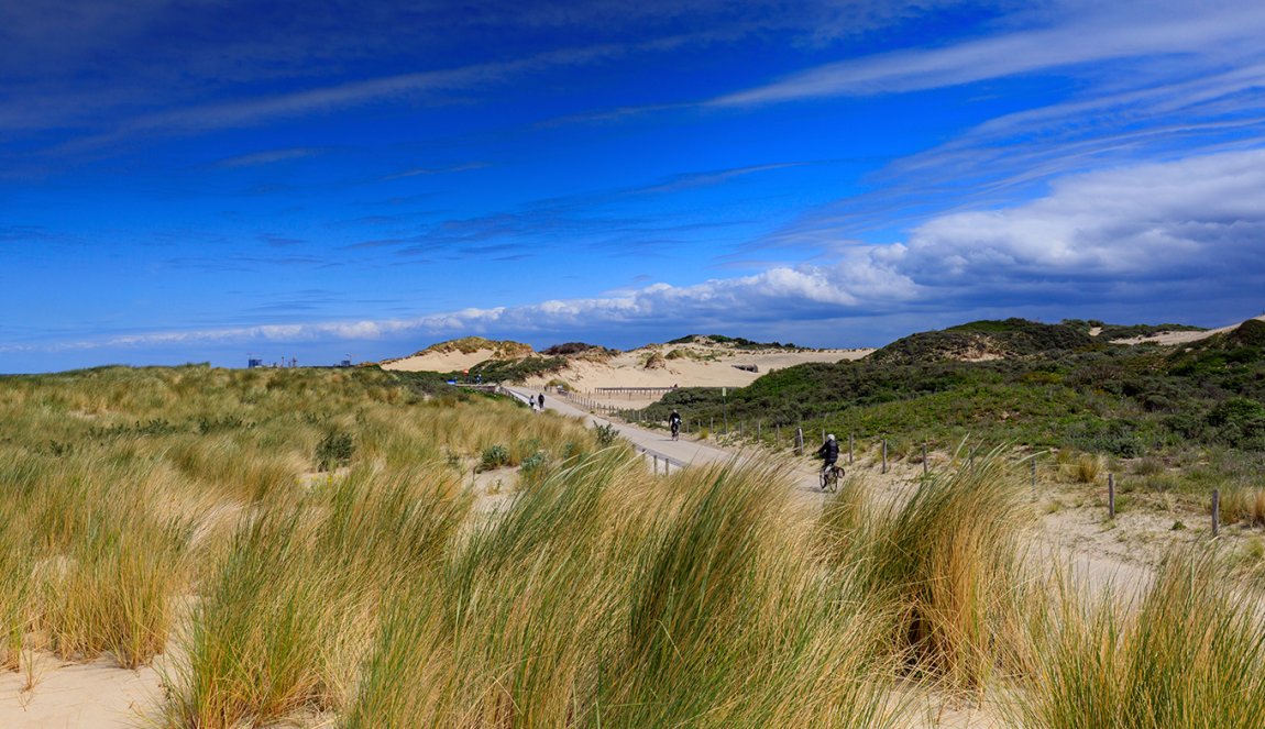 Cycling through the dunes