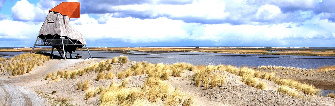 The Marker Wadden is a group of islands in the Markermeer part of National Park New Land 