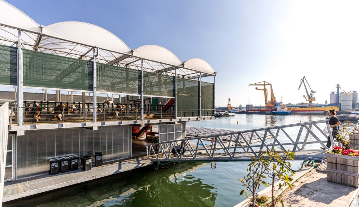 Floating Farm Rotterdam with bridge