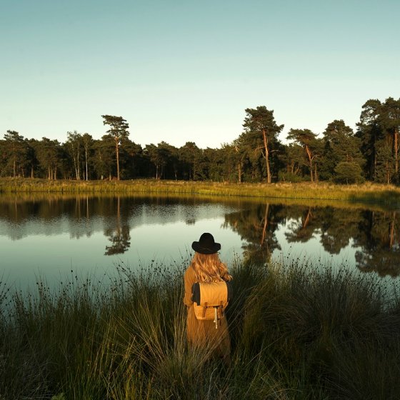 Women watching over Nationaal Park De Maasduinen 