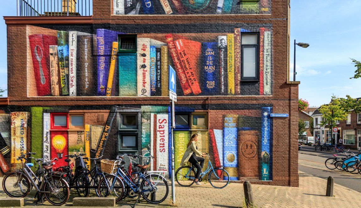 Bookcase Mural in Utrecht 