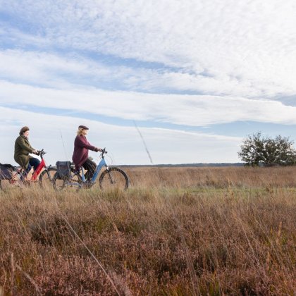 Nationaal Park Dwingelderveld