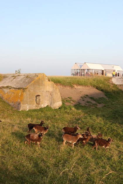 Lighthouse Island landscape with animals and tower