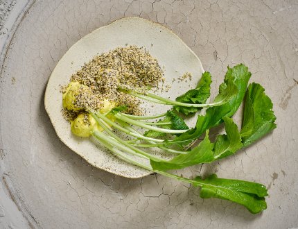 Beautifully presented plate at De Kas Amsterdam Beautifully presented plate at De Kas Amsterdam