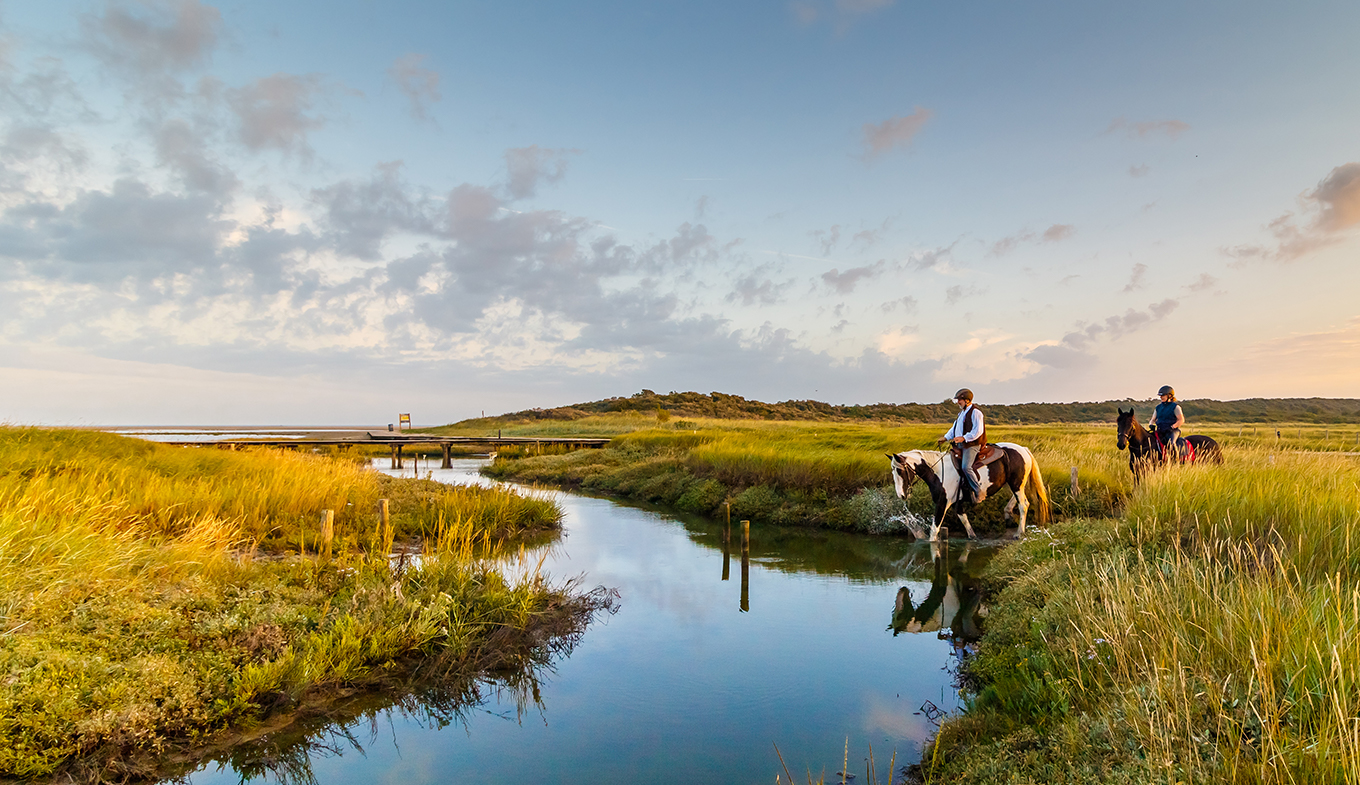 Natuurgebied Verdronken Zwarte Polder Natuurgebied Verdronken Zwarte Polder