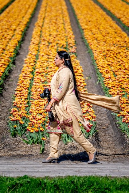 Tourist with camera looking for beautiful tulip photo