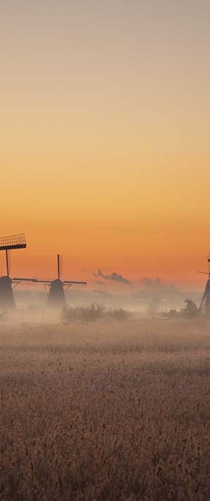 The windmills of Kinderdijk in the light of morning glory with a sunrise.