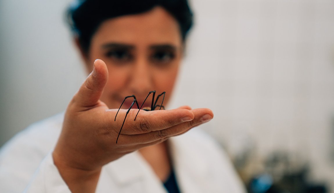 Portraitphoto Jalila Essaidi with spider on her hand