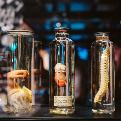 New Dutch Health Rijksmuseum Boerhaave