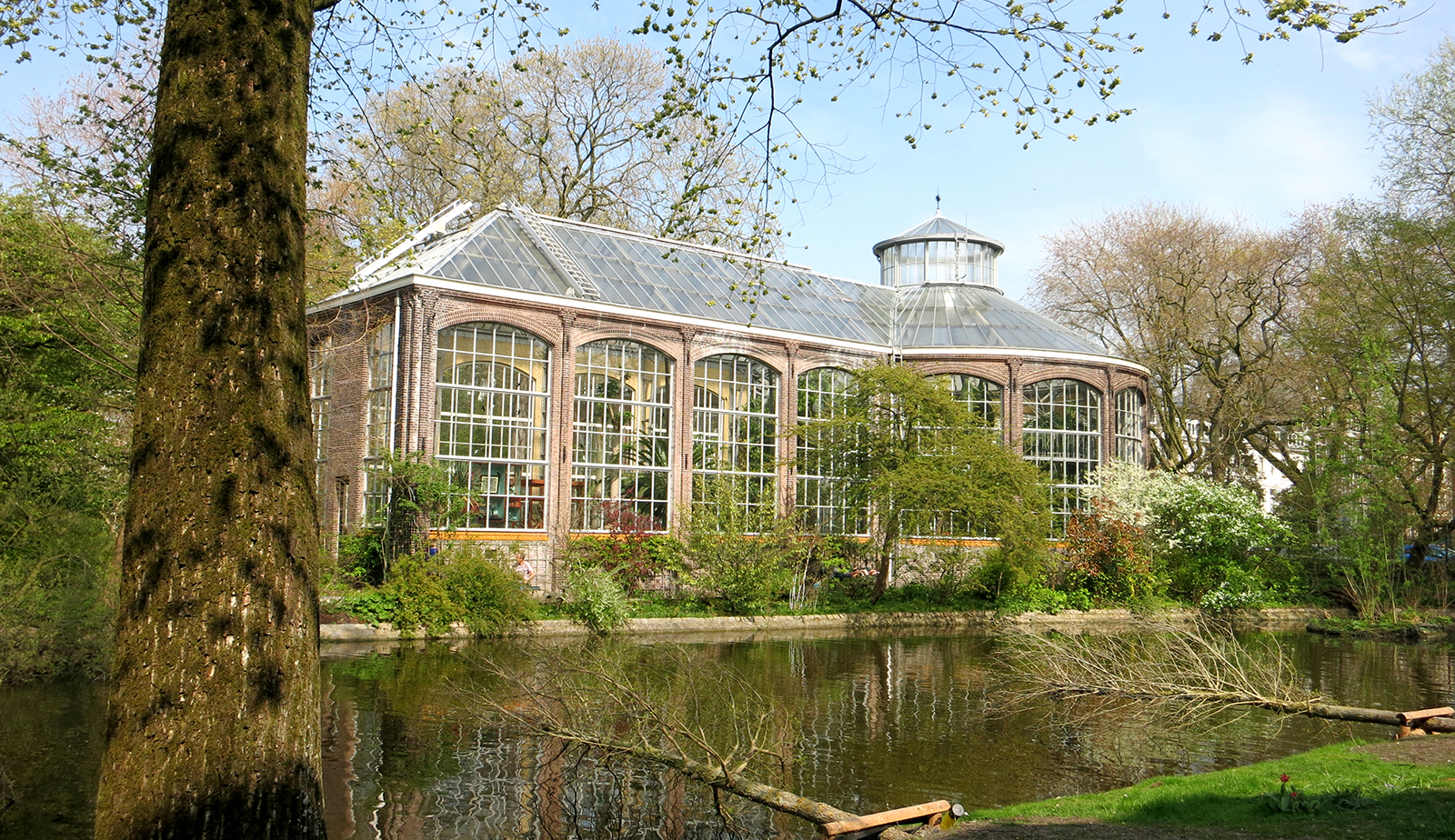 Hortus Botanicus Amsterdam - Discover the botanical garden - Holland.com