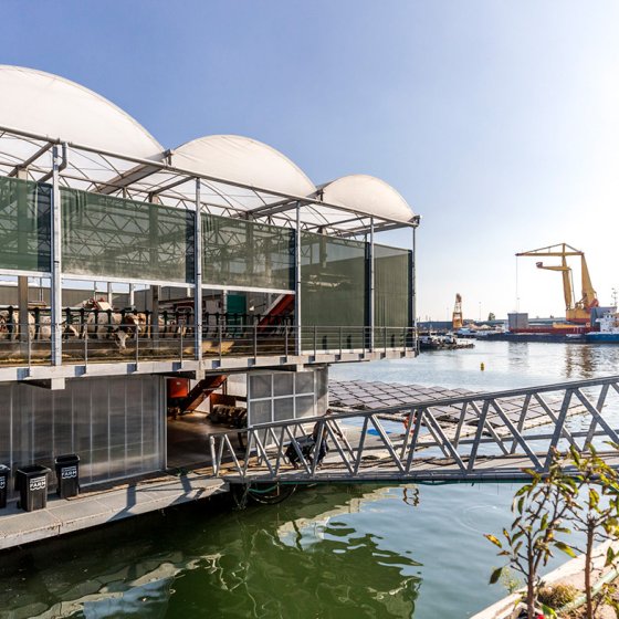 Floating Farm Rotterdam with bridge