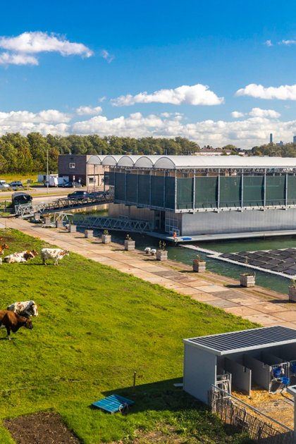 Floating Farm Rotterdam overview with cows and solar panels
