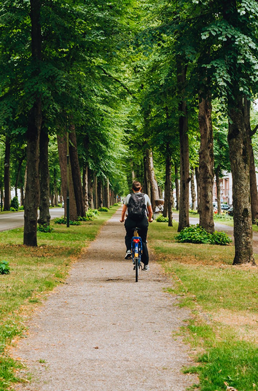 Utrecht Maliebaan cycling between the trees