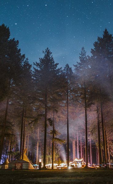 Outdoor winter escapade in Drenthe, camping location starry in the woods