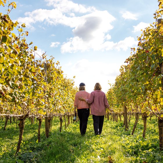 Ladies walk through Wijndomein Betuwe