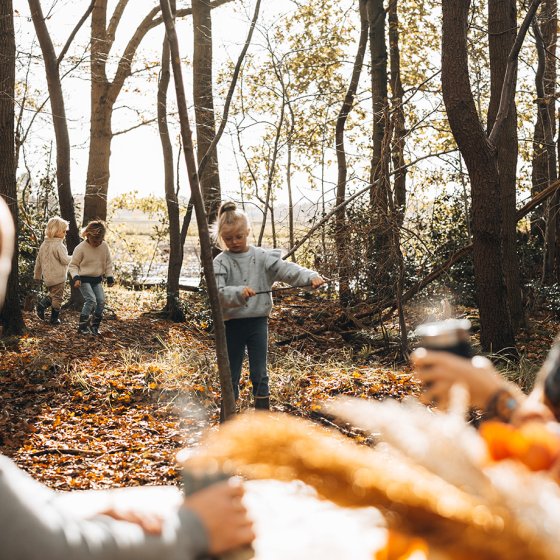 Celebrating autumn break in the Drenthe forest
